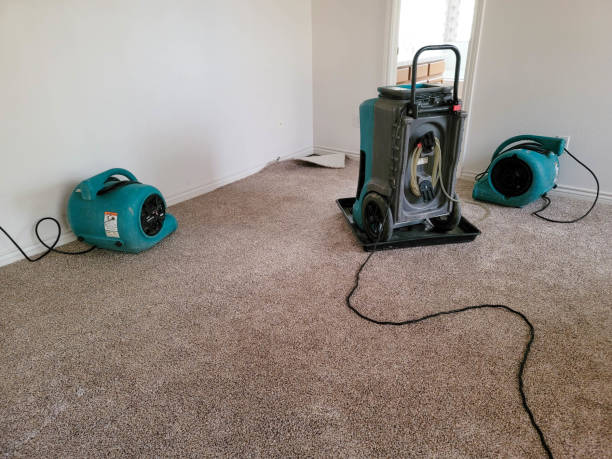 two air movers and a dehumidifier drying a home.